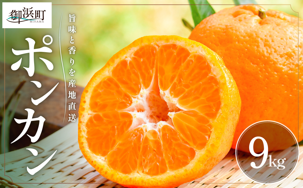 【2027年発送先行予約品】旨みと香りを産地直送！ミカファームのポンカン9キロ【期間限定 数量限定 果物 フルーツ みかん ぽんかん デザート 9kg 三重県 御浜町】