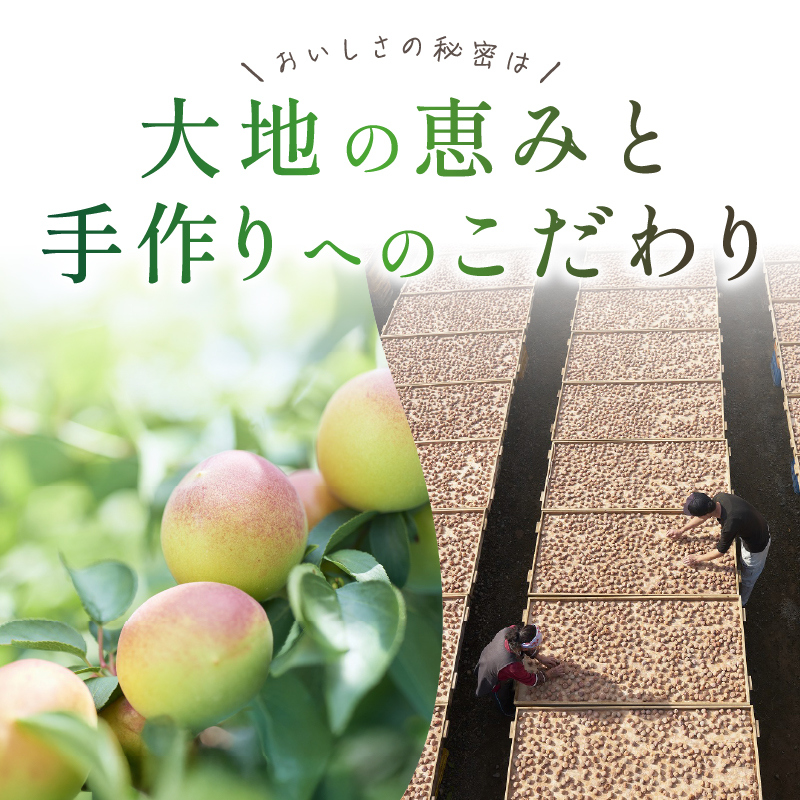 松本農園のはちみつつぶれ梅干し2キロ【梅干し 梅干 はちみつ つぶれ 訳あり 2kg 松本農園 三重県 御浜町】