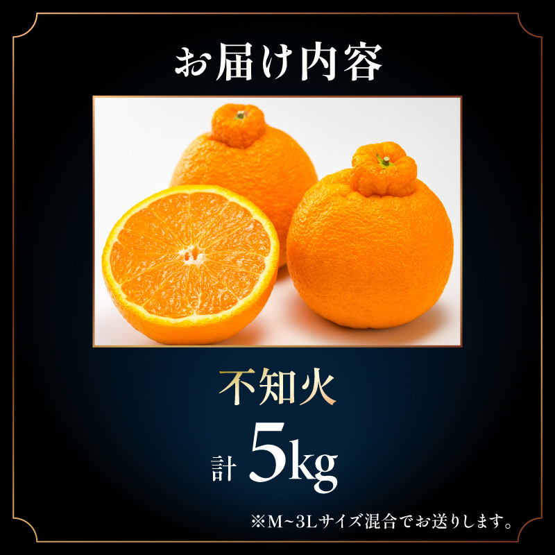 【2027年発送先行予約品】濃密な甘酸っぱさ！ミカファームの不知火5キロ【数量限定 果物 フルーツ みかん 不知火 しらぬい デザート 5kg 三重県 御浜町】