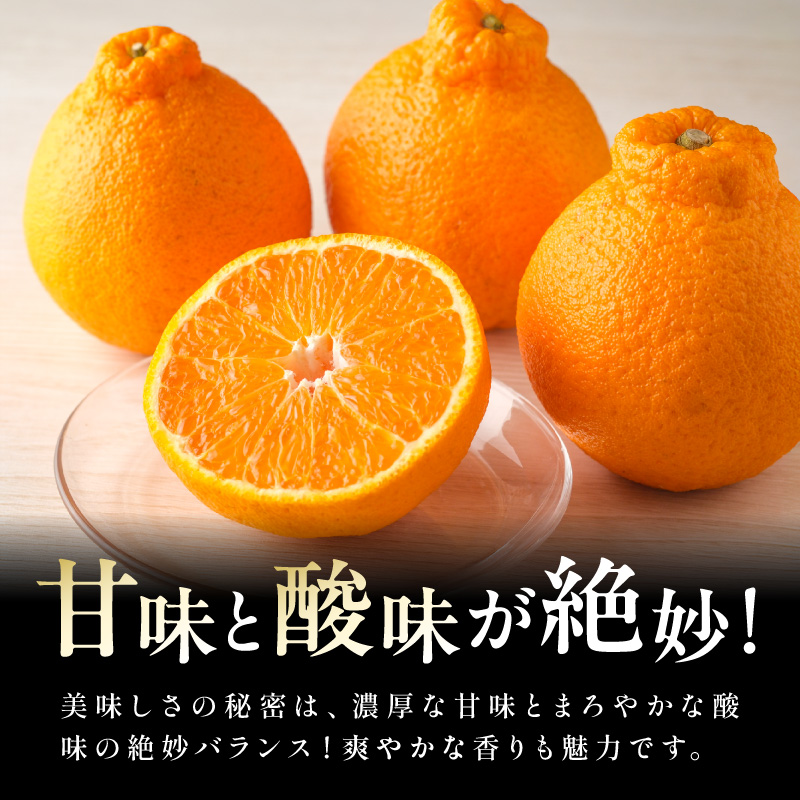 【2027年発送先行予約品】濃密な甘酸っぱさ！ミカファームの不知火9キロ(家庭用) 【数量限定 果物 フルーツ みかん 不知火 しらぬい デザート 9kg 家庭用 三重県 御浜町】