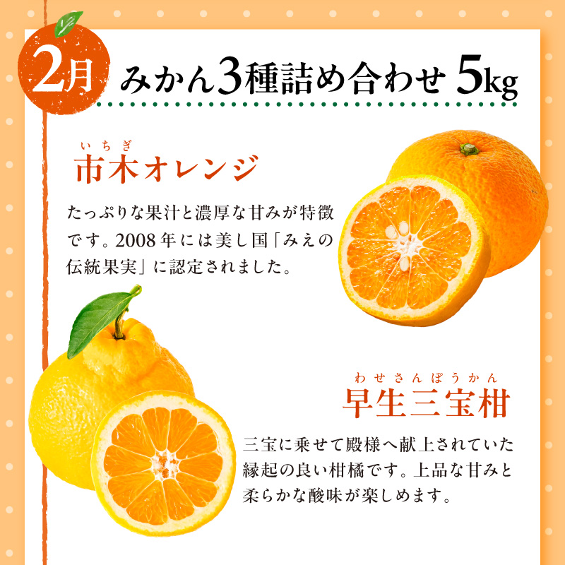 御浜柑橘の旬のみかん又はジュースを毎月発送(全5回)【果物 フルーツ みかん 定期便 定期 5回 オレンジ オレンジジュース みかんジュース 三重県 御浜町】