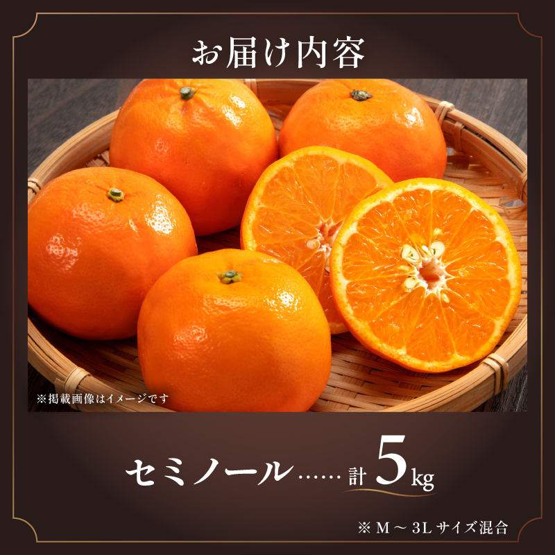 【2026年発送 先行予約品】ジューシーさダントツ！ミカファームのセミノール5キロ【数量限定 果物 フルーツ みかん セミノール デザート 5kg 三重県 御浜町】