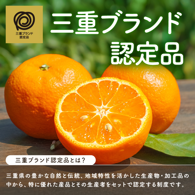 【2027年発送先行予約品】JAのカラマンダリン5キロ【先行予約 数量限定 果物 フルーツ みかん カラマンダリン 5kg 三重県 御浜町】