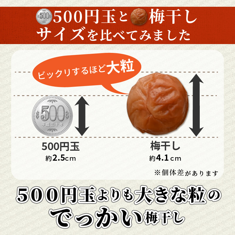 松本農園の大粒無添加南高梅2.5キロ 梅干し 梅干 梅 無添加 大容量 大粒 2.4kg 完熟梅 