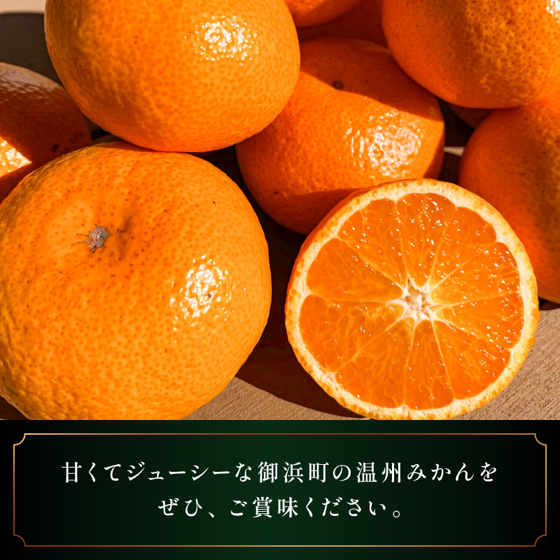 ミカファームの石地温州みかん5キロ【期間限定 数量限定 果物 フルーツ みかん 温州みかん 石地温州みかん デザート 5kg 三重県 御浜町】