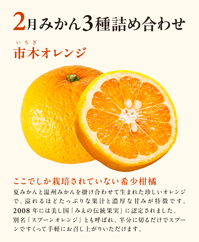 【2027年発送先行予約品】2月の御浜柑橘 みかん3種詰め合わせ 5キロ【先行予約 期間限定 果物 フルーツ みかん 詰め合わせ 5kg 三重県 御浜町】