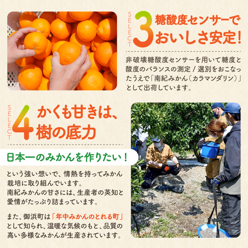 【2027年発送先行予約品】JAのカラマンダリン5キロ【先行予約 数量限定 果物 フルーツ みかん カラマンダリン 5kg 三重県 御浜町】
