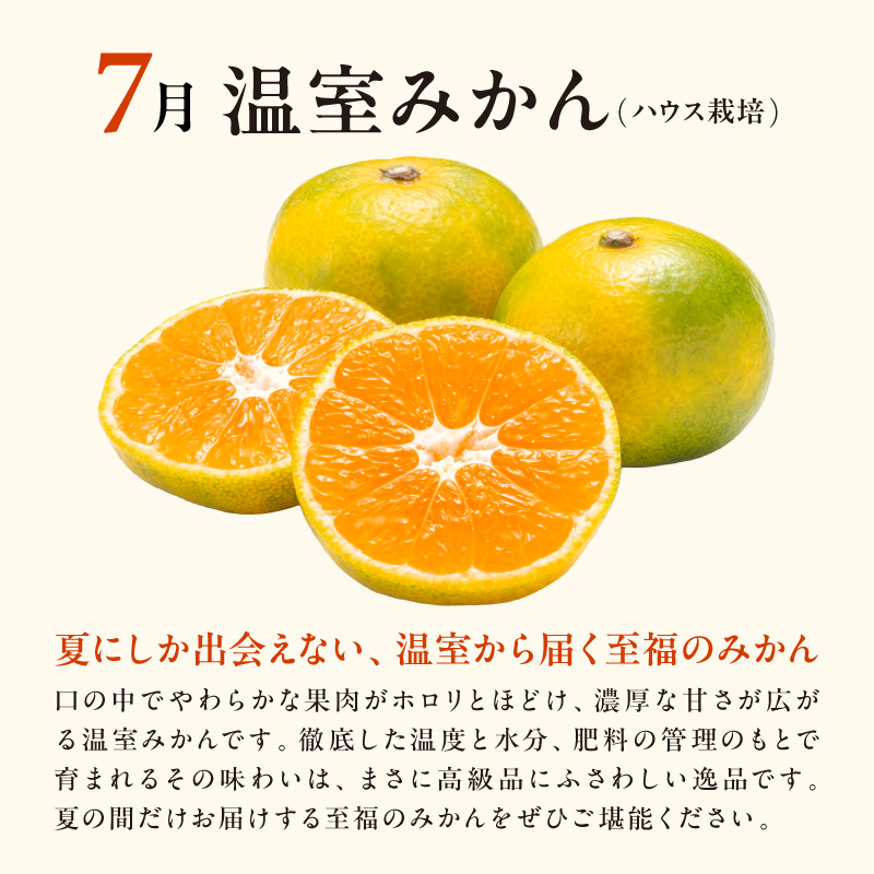 7月の御浜柑橘 温室みかん 2キロ【先行予約 期間限定 果物 フルーツ みかん 温室みかん 2kg 三重県 御浜町】