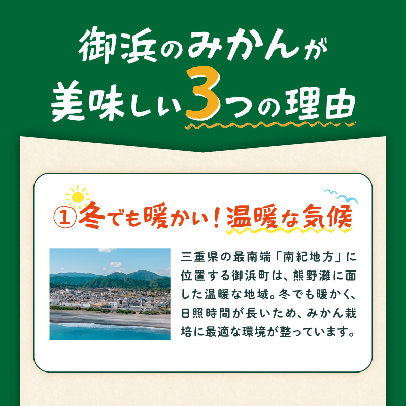 JAの南紀みかん極早生5キロ【期間限定 数量限定 果物 フルーツ みかん デザート 極早生 温州 5kg 三重県 御浜町】