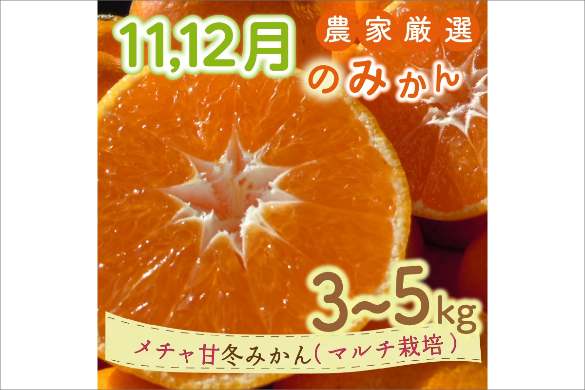 11月12月の御浜柑橘　メチャ甘冬みかん3～5キロ