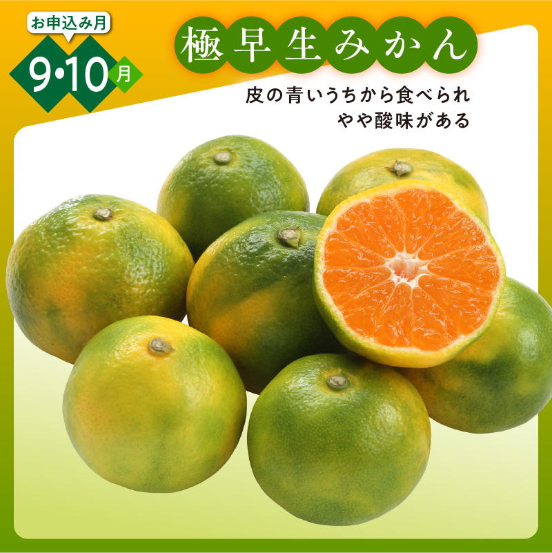 かきうち農園のみかんとジュースの詰め合わせ【果物 フルーツ みかん オレンジ デザート 旬 みかんジュース オレンジジュース セット 詰め合わせ 三重県 御浜町】