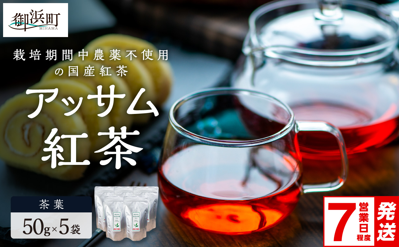 珍しい！国産アッサム紅茶（茶葉）【紅茶 茶葉 アッサム アッサム紅茶 アッサムティー 国産 栽培期間内農薬不使用 自然発酵 自然な甘み あっさり アッサムTea21 三重県 御浜町】