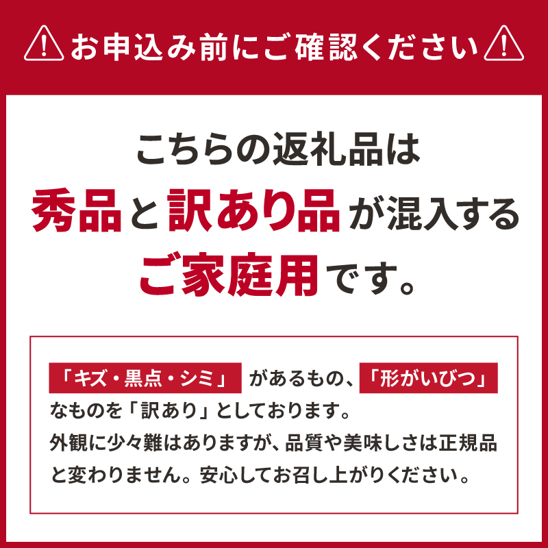 【2027年発送先行予約品】ミカファームのせとか5キロ（家庭用）【数量限定 果物 フルーツ みかん せとか デザート 5kg 三重県 御浜町】