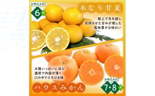 かきうち農園のみかんとジュースの詰め合わせ【果物 フルーツ みかん 旬 みかんジュース オレンジジュース セット 詰め合わせ 三重県 御浜町】