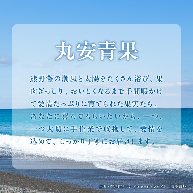 丸安青果の御浜町産南高梅干3キロ【梅干し 梅干 梅 うめぼし 南高梅 3kg 三重県 御浜町】
