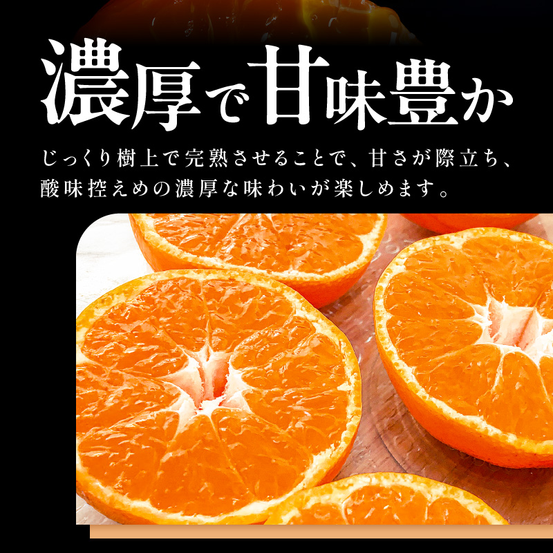 ミカファームの石地温州みかん5キロ【期間限定 数量限定 果物 フルーツ みかん 温州みかん 石地温州みかん デザート 5kg 三重県 御浜町】