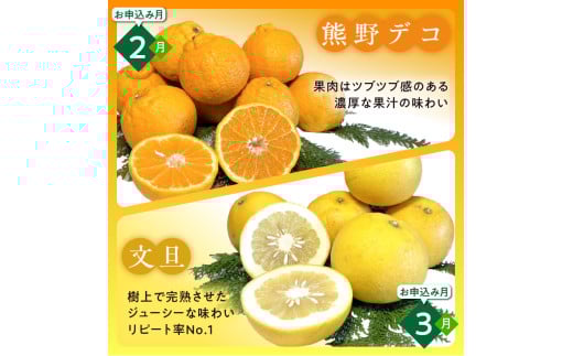かきうち農園のみかんとジュースの詰め合わせ【果物 フルーツ みかん 旬 みかんジュース オレンジジュース セット 詰め合わせ 三重県 御浜町】