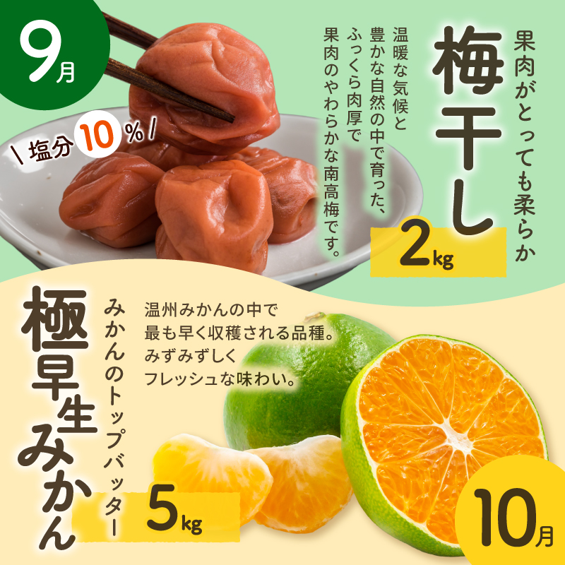 丸安青果の御浜町産特産品（全10回）【定期 定期便 10回 果物 フルーツ みかん 梅干し 梅干 三重県 御浜町】