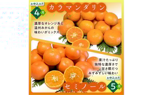 かきうち農園のみかんとジュースの詰め合わせ【果物 フルーツ みかん 旬 みかんジュース オレンジジュース セット 詰め合わせ 三重県 御浜町】