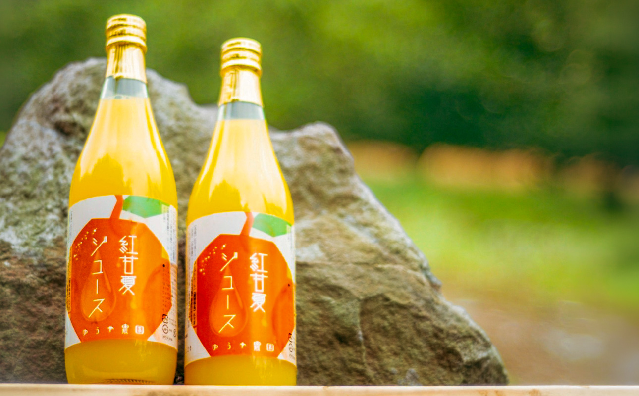 ゆうや農園の紅甘夏ジュース 720ml×2本【 数量限定 みかん 果物 柑橘 ジュース 飲料 ストレート ドリンク 果汁100% 三重県 御浜町 阿田和 国産 】