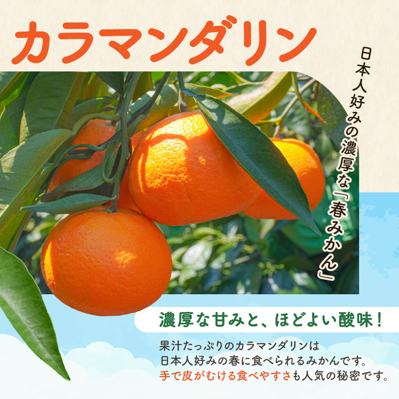 【2027年発送先行予約品】JAのカラマンダリン5キロ【先行予約 数量限定 果物 フルーツ みかん カラマンダリン 5kg 三重県 御浜町】