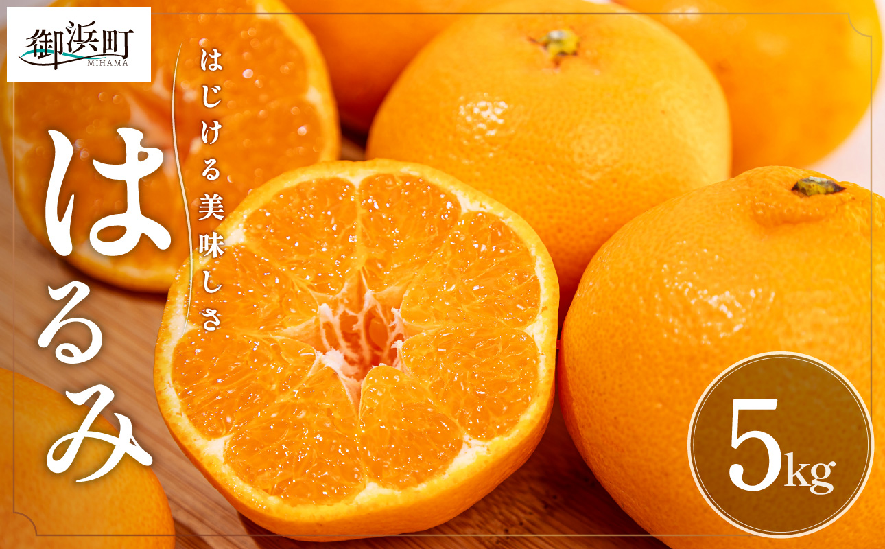 【2027年発送先行予約品】弾ける旨さ！ミカファームのはるみ5キロ【期間限定 数量限定 果物 フルーツ みかん はるみ デザート 5kg 三重県 御浜町】
