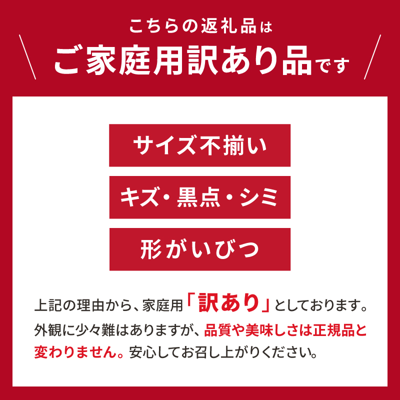辻本農園の山下紅みかん大玉（家庭用）10キロ【期間限定 数量限定 キズあり まぼろし 幻 高級 甘い 果物 ミカン フルーツ 柑橘 家庭用 三重県 御浜町】