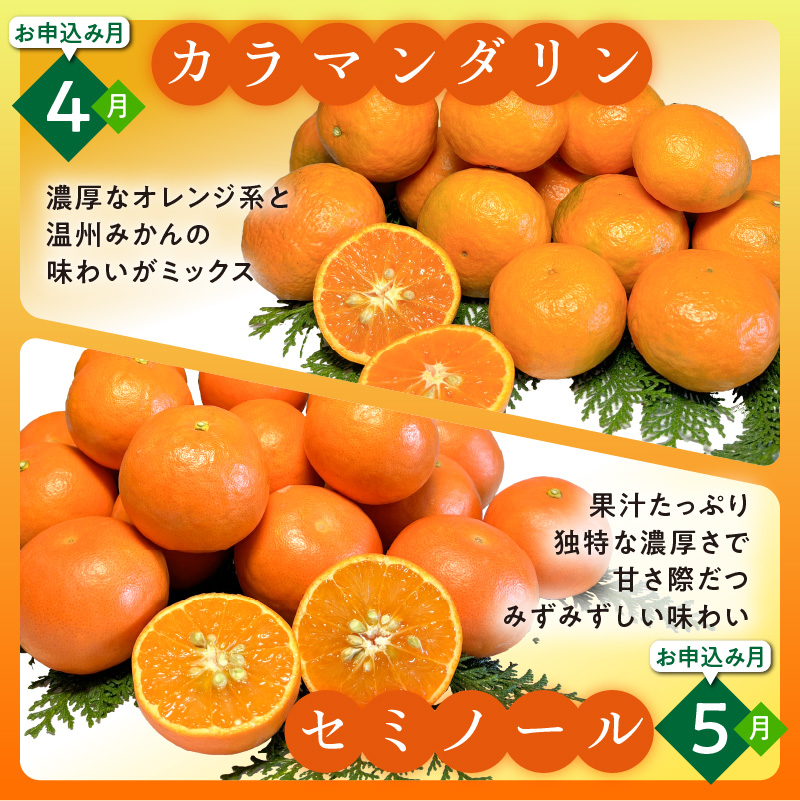 かきうち農園のみかんとジュースの詰め合わせ【果物 フルーツ みかん オレンジ デザート 旬 みかんジュース オレンジジュース セット 詰め合わせ 三重県 御浜町】