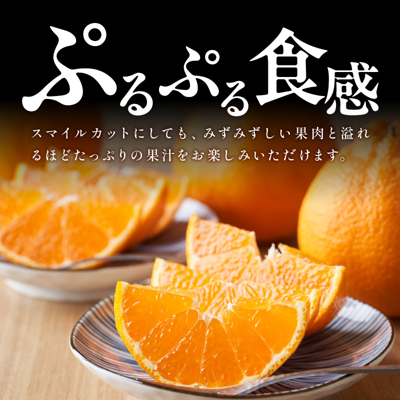 【2027年発送先行予約品】濃密な甘酸っぱさ！ミカファームの不知火5キロ(家庭用）【数量限定 果物 フルーツ みかん 不知火 しらぬい デザート 5kg 家庭用 三重県 御浜町】