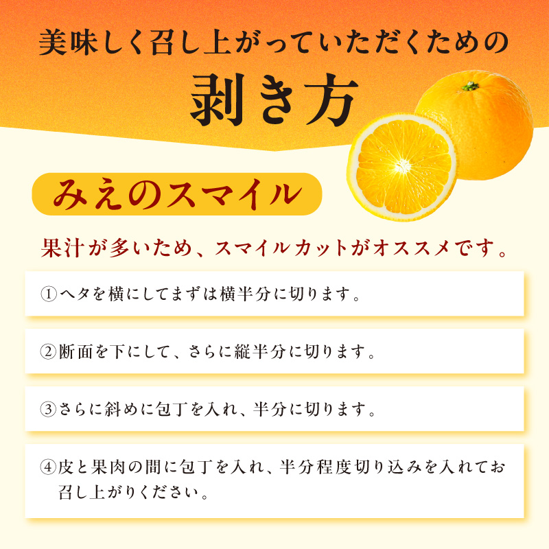 【2027年発送先行予約品】2月の御浜柑橘 みかん3種詰め合わせ 5キロ【先行予約 期間限定 果物 フルーツ みかん 詰め合わせ 5kg 三重県 御浜町】