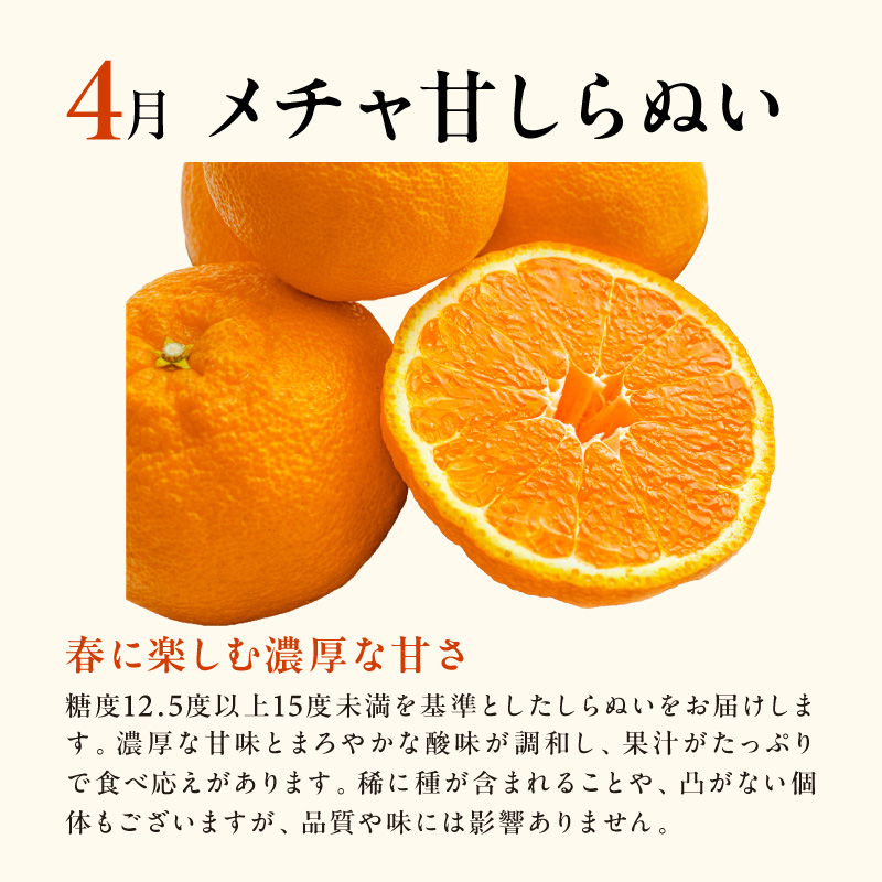 4月の御浜柑橘 メチャ甘しらぬい 3キロ前後【期間限定 果物 フルーツ みかん 不知火 しらぬい 3kg前後 三重県 御浜町】