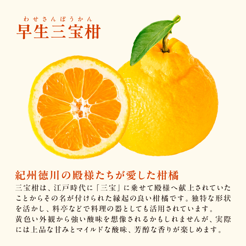 【2027年発送先行予約品】2月の御浜柑橘 みかん3種詰め合わせ 5キロ【先行予約 期間限定 果物 フルーツ みかん 詰め合わせ 5kg 三重県 御浜町】