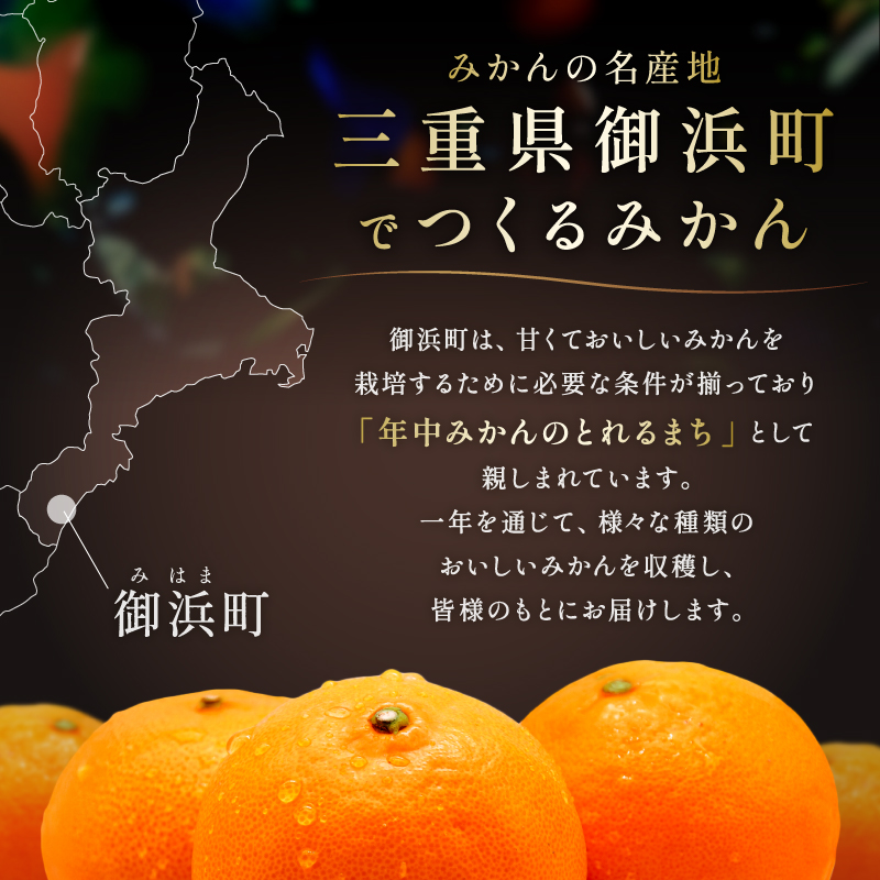 【2027年発送先行予約品】ミカファームのせとか5キロ（家庭用）【数量限定 果物 フルーツ みかん せとか デザート 5kg 三重県 御浜町】