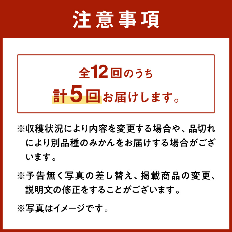 御浜柑橘の旬みかん又はジュースを毎月発送(全5回)【果物 フルーツ みかん 定期便 定期 5回 オレンジ オレンジジュース みかんジュース 光センサー 三重県 御浜町】