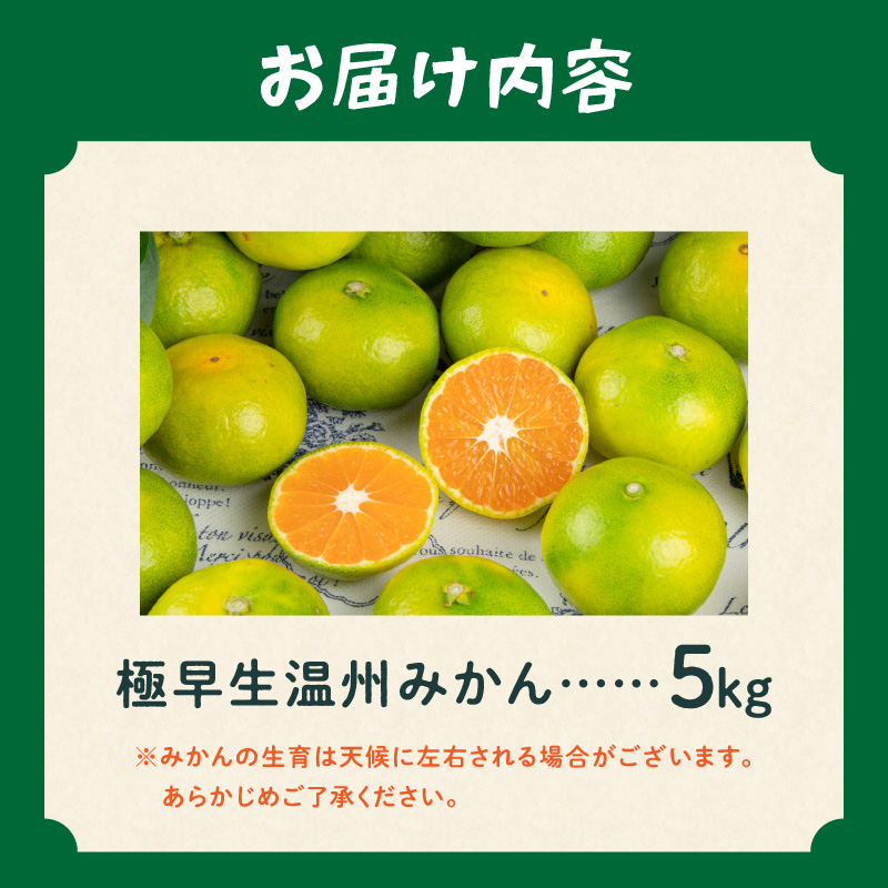 JAの南紀みかん極早生5キロ【期間限定 数量限定 果物 フルーツ みかん デザート 極早生 温州 5kg 三重県 御浜町】