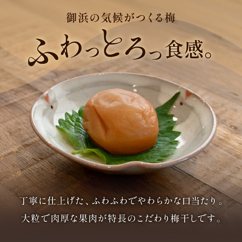 松本農園の大粒南高梅3キロ【数量限定 梅干し 梅干 梅 うめぼし 大粒 3kg 松本農園 昔ながら 大容量 三重県 御浜町】