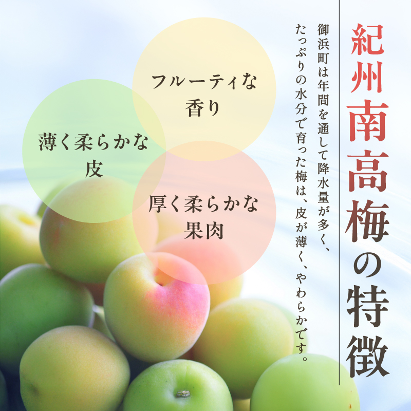 和光工房の南高梅（生）5キロ【期間限定 梅 うめ 生梅 旬 南高梅 5kg 梅酒 梅シロップ 梅干し 梅ジュース 三重県 御浜町】