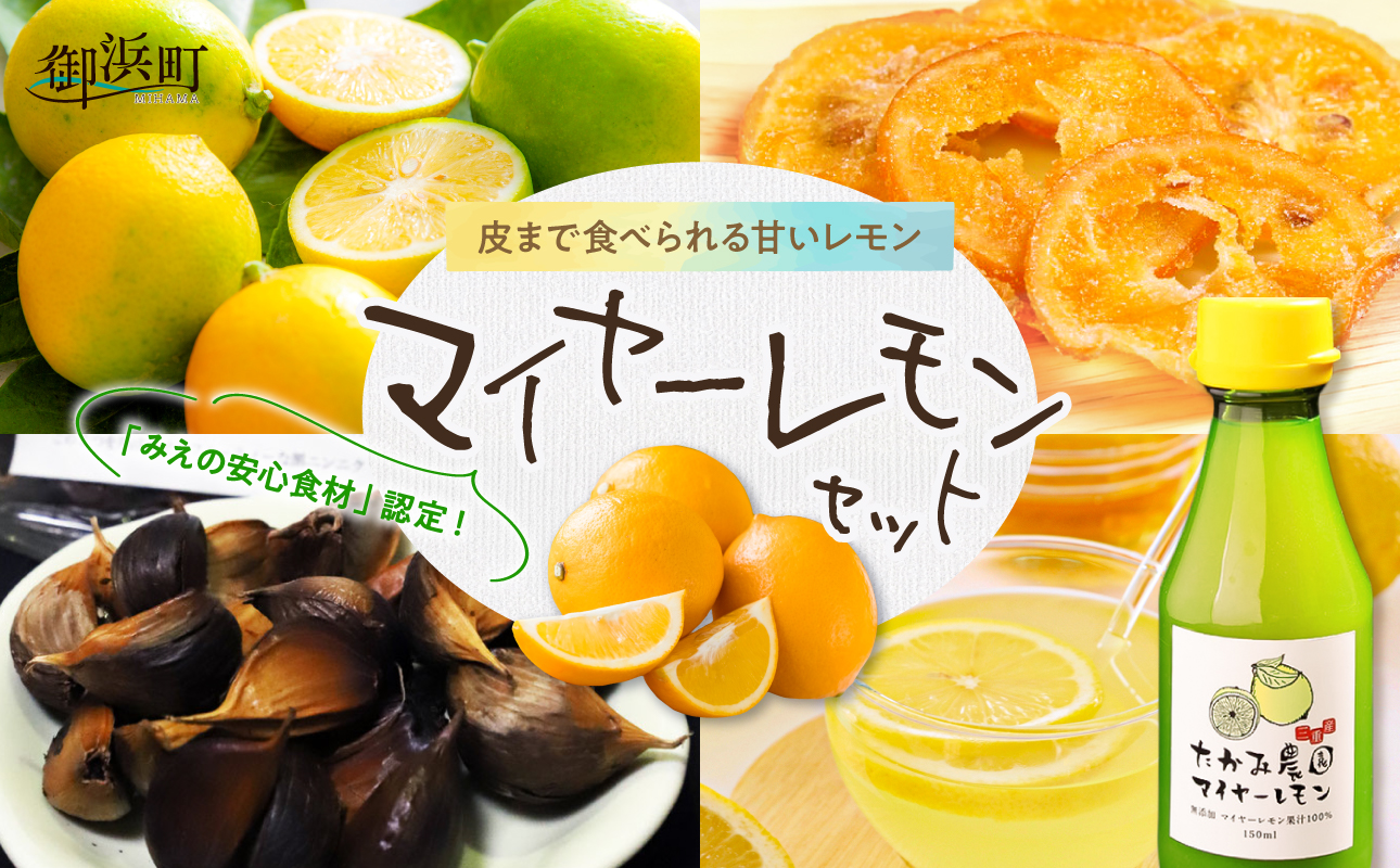 たかみ農園マイヤーレモンセット【希少 国産 レモン マイヤーレモン ドライフルーツ 黒にんにく レモン果汁 セット 詰め合わせ 三重県 御浜町】