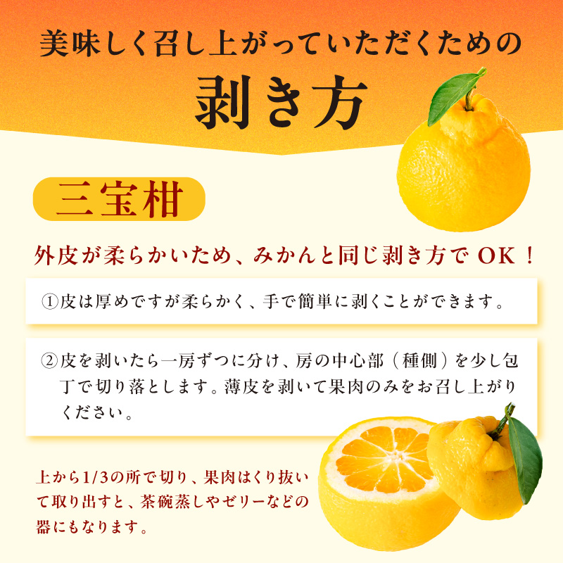 【2027年発送先行予約品】2月の御浜柑橘 みかん3種詰め合わせ 5キロ【先行予約 期間限定 果物 フルーツ みかん 詰め合わせ 5kg 三重県 御浜町】