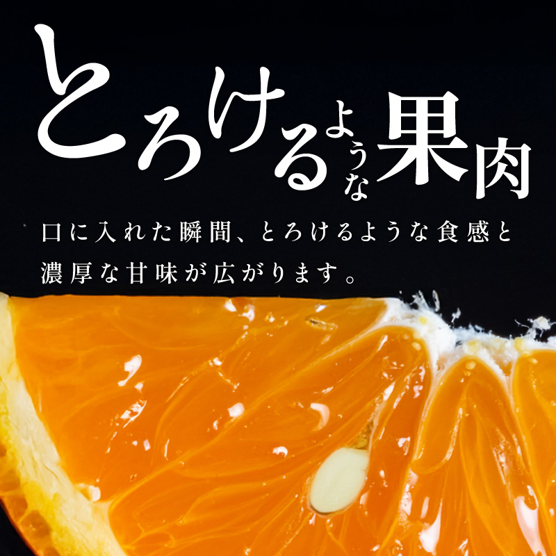 ミカファームのカラマンダリン9キロ（家庭用）【数量限定 果物 フルーツ みかん オレンジ カラマンダリン 家庭用 デザート 9kg 三重県 御浜町】