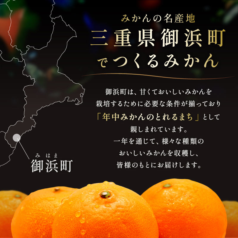 秋の味覚ミカファームの超極早生みかん5キロ【期間限定 数量限定 果物 フルーツ みかん 超極早生みかん 超極早生 デザート 5kg 三重県 御浜町】