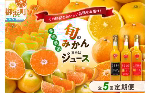 御浜柑橘の旬みかん又はジュースを毎月発送(全5回)【果物 フルーツ みかん 定期便 定期 5回 オレンジ オレンジジュース みかんジュース 光センサー 三重県 御浜町】