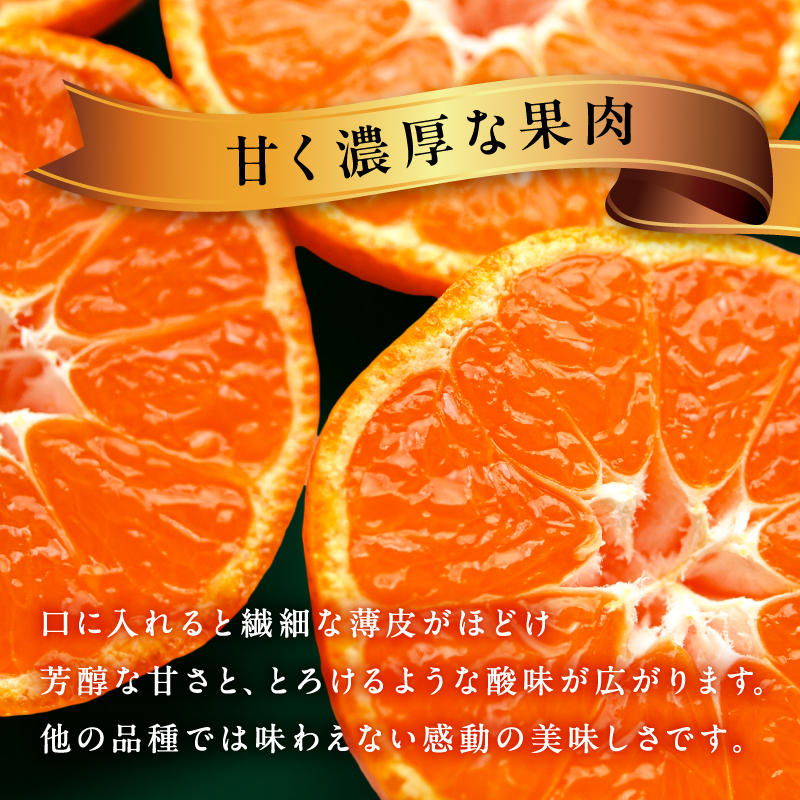 辻本農園の山下紅みかん10キロ【期間限定 数量限定 まぼろし 幻 高級 甘い 果物 ミカン フルーツ 柑橘 三重県 御浜町】
