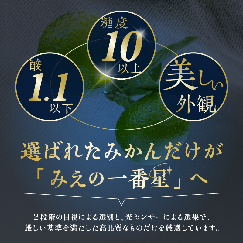 JAみえの一番星（味一号）5キロ【期間限定 数量限定 果物 フルーツ みかん 味一号 みえの一番星 超極早生 5kg 三重県 御浜町】