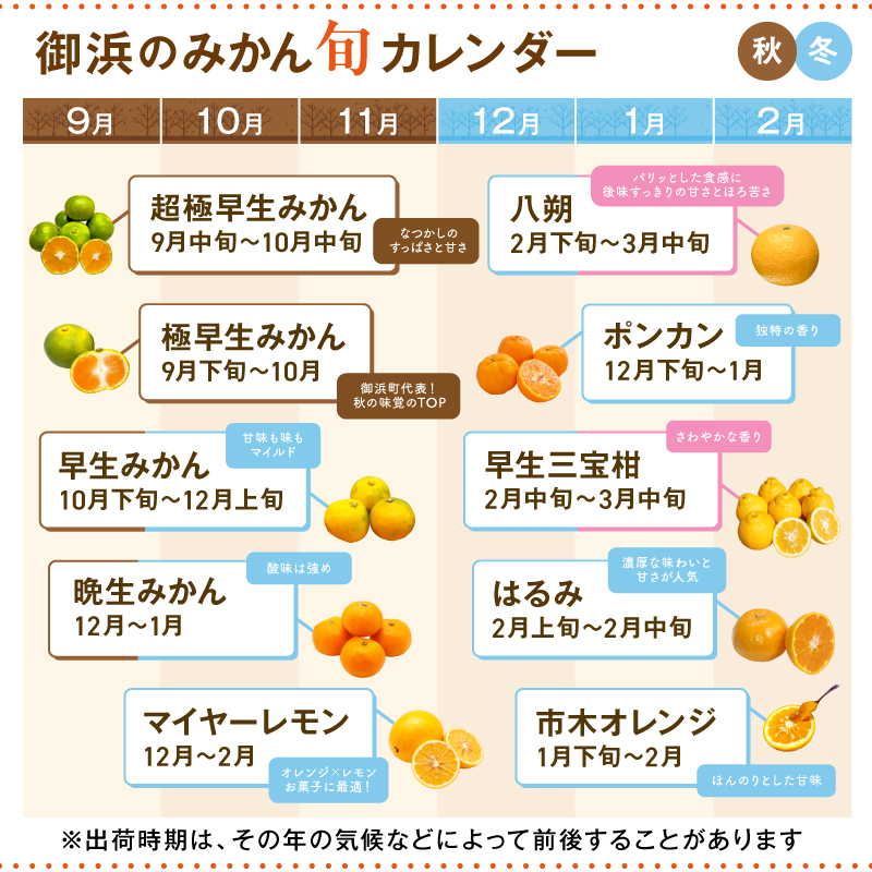 ミカファームの石地温州みかん9.5キロ