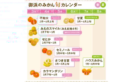 ゼロイチふぁーむのみかん約5キロ【御浜町産 みかん オレンジ デザート 早生 温州 三重県】