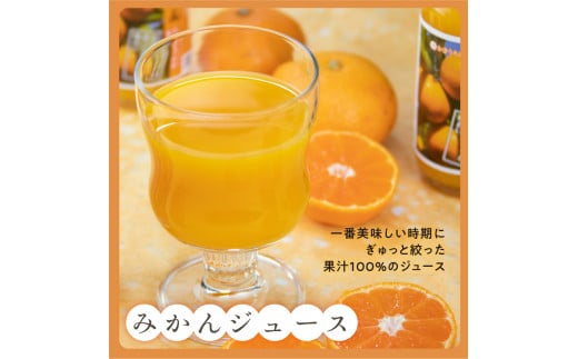 かきうち農園のみかんとジュースの詰め合わせ【果物 フルーツ みかん 旬 みかんジュース オレンジジュース セット 詰め合わせ 三重県 御浜町】