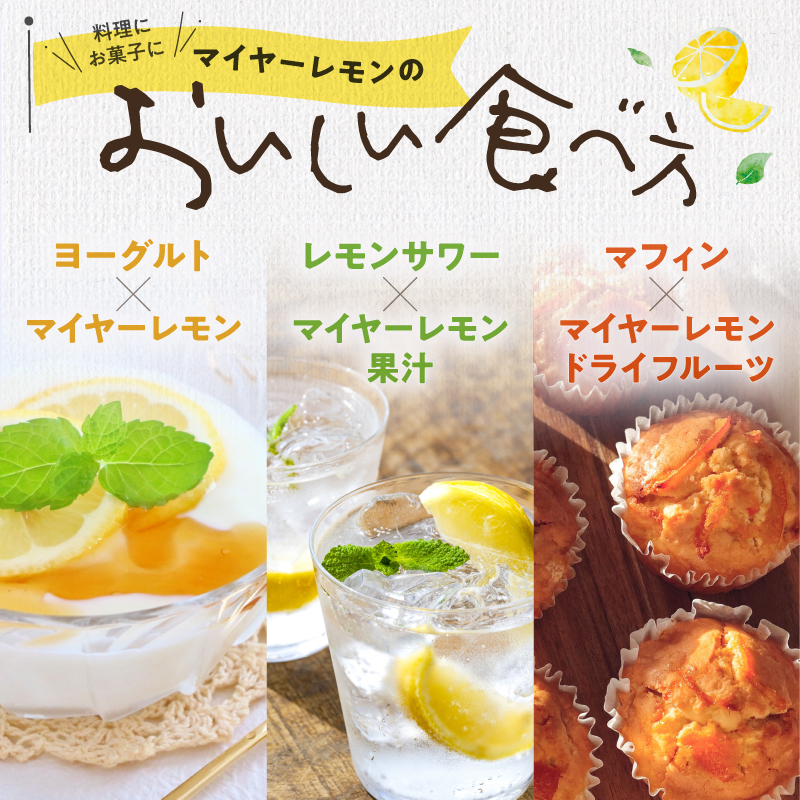 たかみ農園マイヤーレモンセット【希少 国産 レモン マイヤーレモン ドライフルーツ 黒にんにく レモン果汁 セット 詰め合わせ 三重県 御浜町】