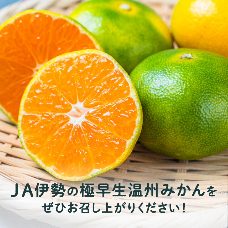 JAの南紀みかん極早生5キロ【期間限定 数量限定 果物 フルーツ みかん デザート 極早生 温州 5kg 三重県 御浜町】