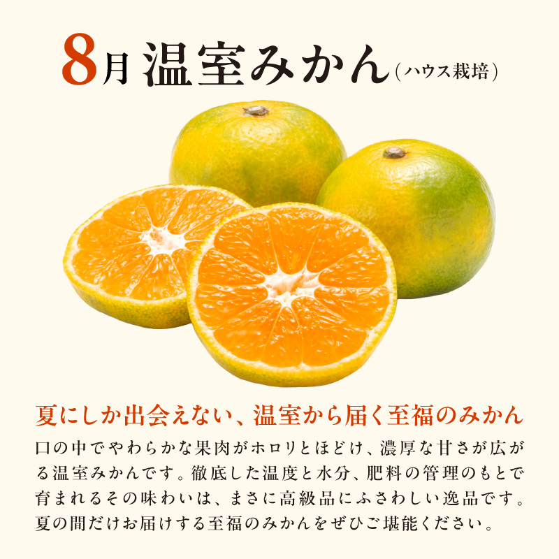 8月の御浜柑橘 温室みかん 2キロ【先行予約 期間限定 果物 フルーツ みかん 温室みかん 2kg 三重県 御浜町】